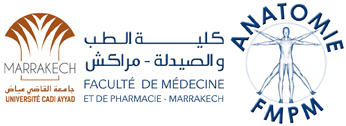 Laboratoire d'anatomie – Faculté de Médecine de Marrakech Logo